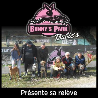 Bunnys park releve 1